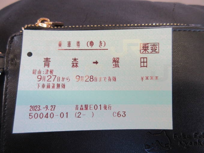鉄道乗車記録の写真:きっぷ(5)        「事前に今日乗るきっぷも買ってましたが、変更してもらいました。」