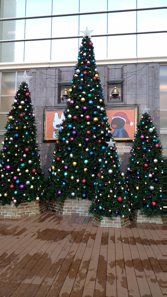 鉄道乗車記録の写真:旅の思い出(1)        「神戸阪急はクリスマスの飾りつけがされてて綺麗でした。
※撮影場所は山本としてますが、場所は三宮です。」