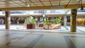 宝塚駅から西宮北口駅:鉄道乗車記録の写真