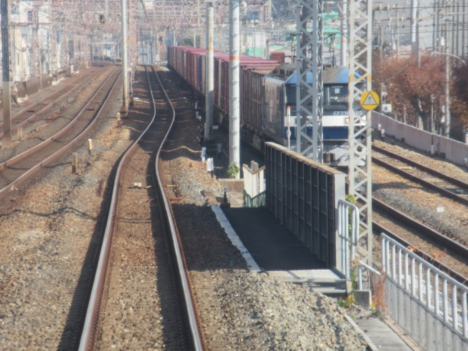 鉄道乗車記録の写真:車窓・風景(4)        「新長田駅手前で貨物列車が見えたので、駅で見られると思ってたら下を潜っていきました(残念)」