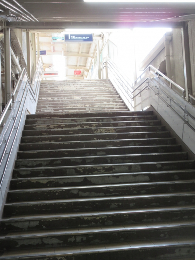 鉄道乗車記録の写真:駅舎・駅施設、様子(3)        「私は駅の階段が好きなので上ります、相方はエレベーター」