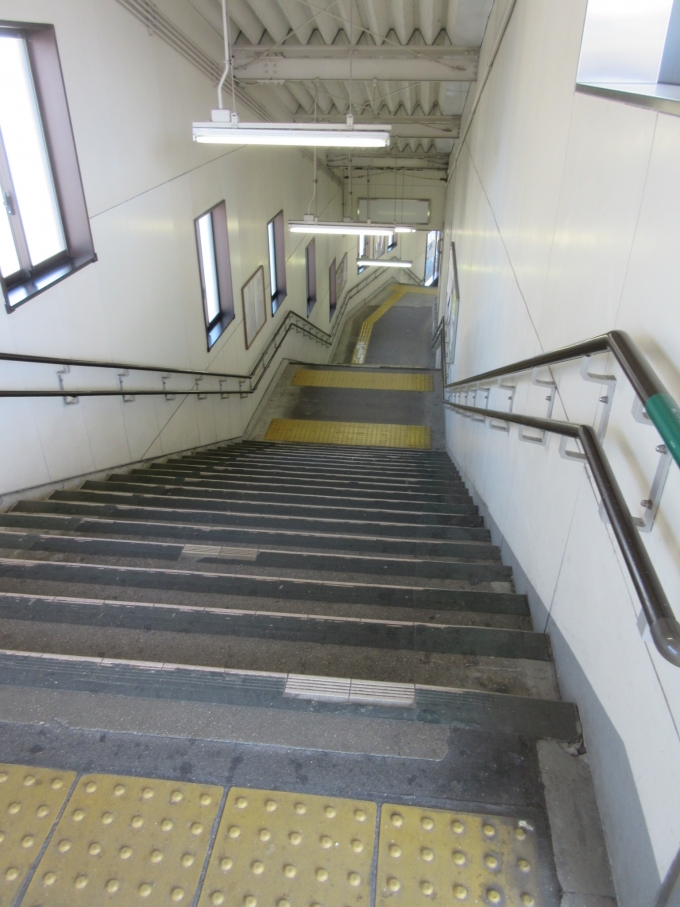 鉄道乗車記録の写真:駅舎・駅施設、様子(6)        「改札へ降りる長い階段です。
いつもは上りますが今日はエレベーターを利用しました。」