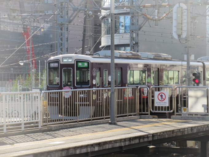 鉄道乗車記録の写真:列車・車両の様子(未乗車)(1)        「京都本線のうさぎ号です。

塚口駅行くまでに宝塚から西北か、十三まわりで行くか迷いましたが十三から行くことにしました。

」