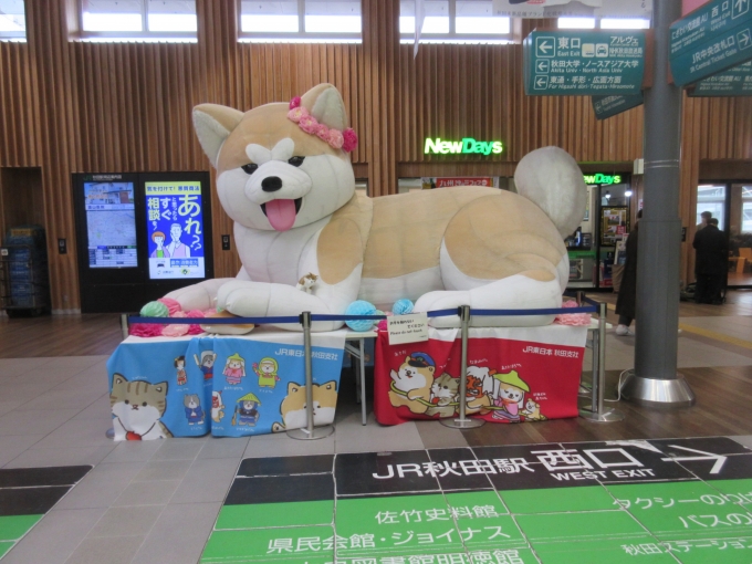 鉄道乗車記録の写真:駅舎・駅施設、様子(10)        「改札を出てすぐの所に大きい秋田犬がお出迎えしてくれてます。」