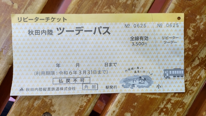 鉄道乗車記録の写真:きっぷ(1)     「去年ツーデイパスを購入した時に頂いたチケットです、今日はこれを利用。
改札で日付印を押して貰います。
※待合室で撮影」