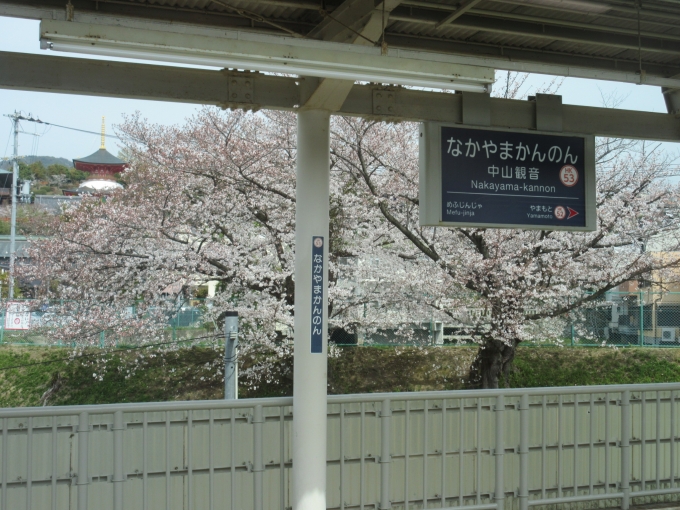 鉄道乗車記録の写真:車窓・風景(3)        「中山観音駅の桜も綺麗でした。」