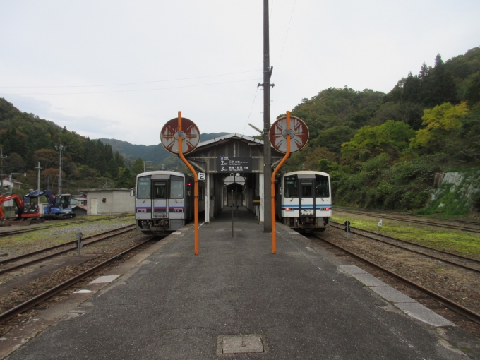 鉄道乗車記録の写真:乗車した列車(外観)(3)        「左は備後落合駅まで乗車し、右はこれから乗る列車です。」