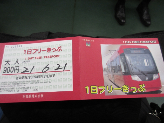 鉄道乗車記録の写真:きっぷ(1)        「万葉線フリーきっぷは900円です。」
