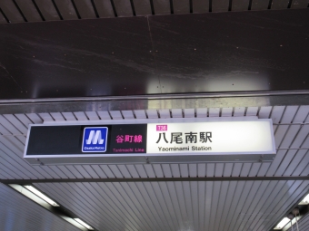 大日駅から八尾南駅の乗車記録(乗りつぶし)写真