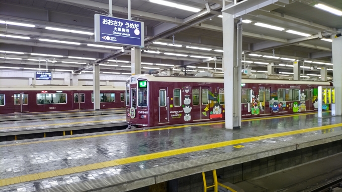 鉄道乗車記録の写真:列車・車両の様子(未乗車)(1)          「京都本線のコウペンちゃん号は初めて見ました。次は乗りたいですね。」