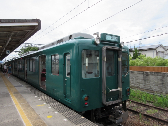 鉄道乗車記録の写真:乗車した列車(外観)(2)        「近鉄電車でグリーンの車体は初めて見ました。
田原本線は単線です。」