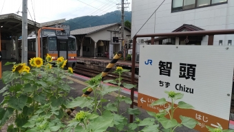 智頭駅から那岐駅の乗車記録(乗りつぶし)写真