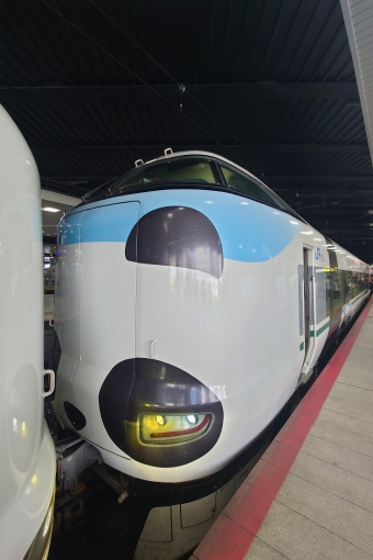新大阪駅から紀伊勝浦駅の乗車記録(乗りつぶし)写真