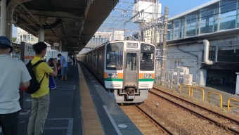 掛川駅から浜松駅の乗車記録(乗りつぶし)写真
