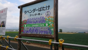 ラベンダー畑駅から富良野駅の乗車記録(乗りつぶし)写真