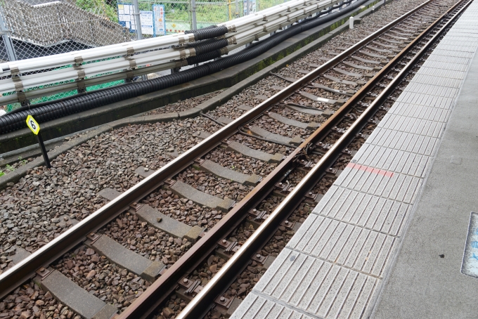 鉄道乗車記録の写真:駅舎・駅施設、様子(1)        「金沢八景駅の三線軌条」
