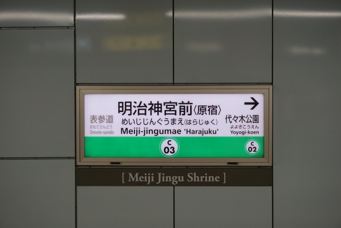 鉄道乗車記録の写真:駅名看板(1)        「千代田線」