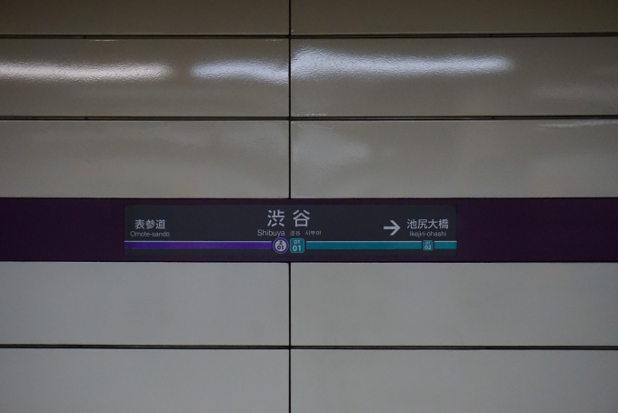 鉄道乗車記録の写真:駅名看板(1)          「半蔵門線・東急田園都市線」