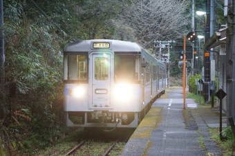 高知駅から新改駅の乗車記録(乗りつぶし)写真