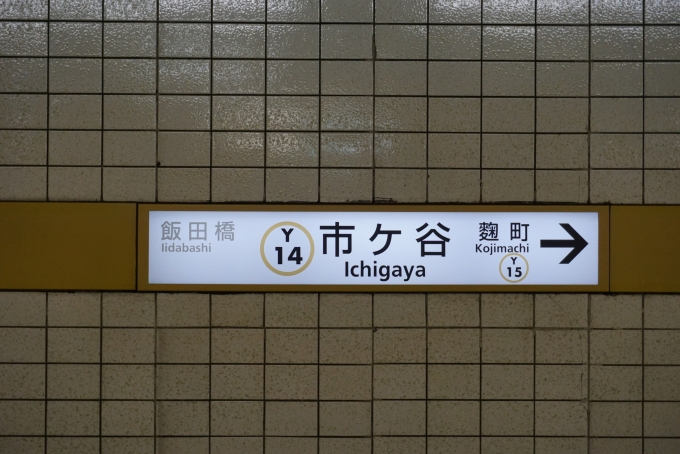 鉄道乗車記録の写真:駅名看板(1)        「有楽町線」