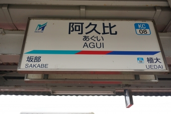 巽ヶ丘駅から阿久比駅の乗車記録(乗りつぶし)写真