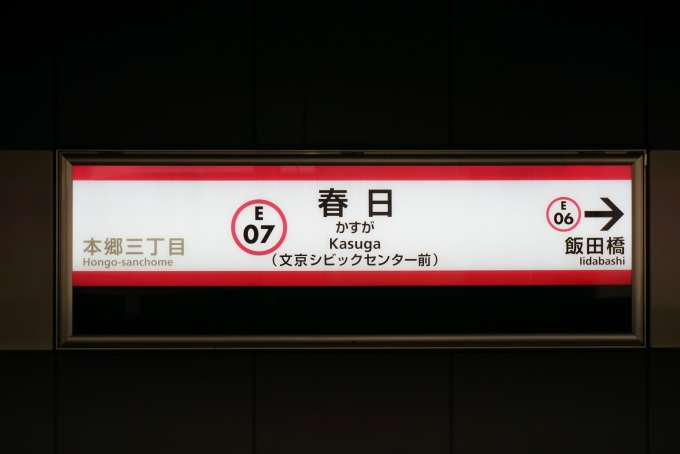 鉄道乗車記録の写真:駅名看板(2)        「大江戸線」