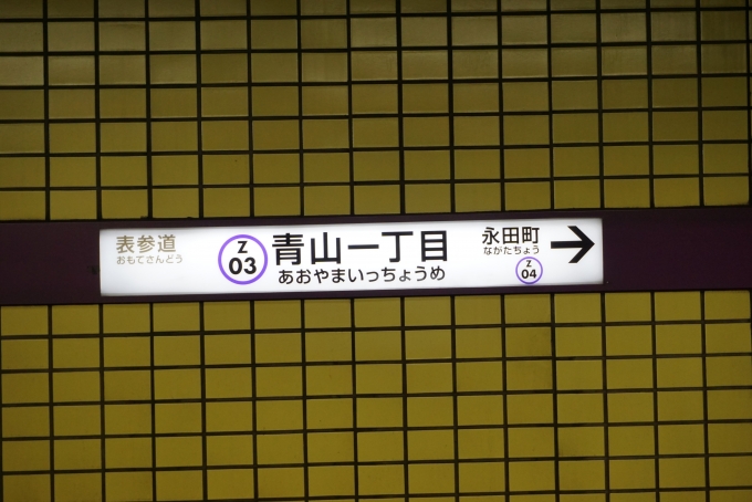 鉄道乗車記録の写真:駅名看板(3)        「半蔵門線」