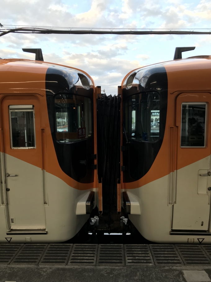 鉄道乗車記録の写真:乗車した列車(外観)(1)        「ビスタカー新塗装とサニーカー新塗装の連結。」