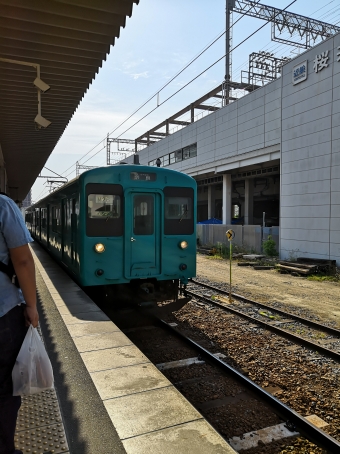 桜井駅から奈良駅の乗車記録(乗りつぶし)写真