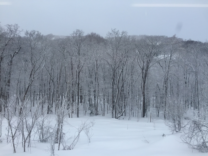 鉄道乗車記録の写真:車窓・風景(5)        「すっかり雪景色に逆戻り。」