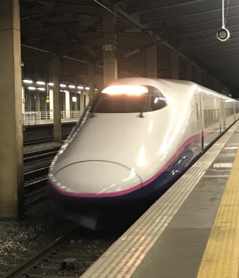 長岡駅から東京駅の乗車記録(乗りつぶし)写真