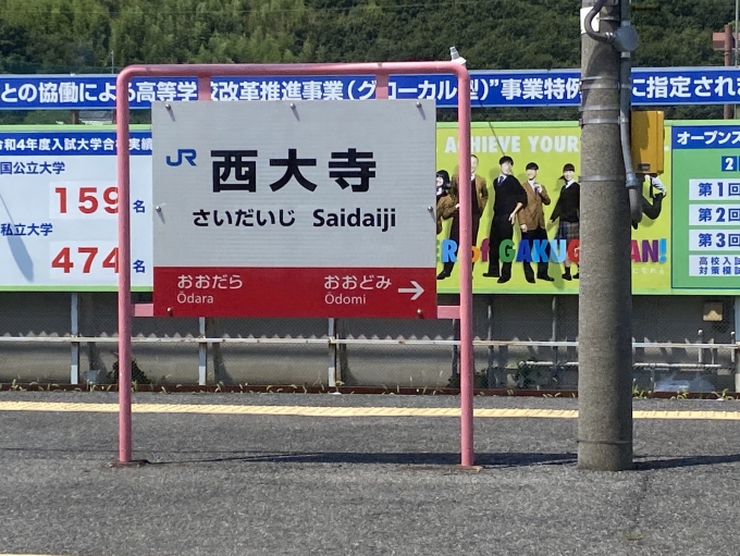 鉄道乗車記録の写真:駅名看板(2)        「近鉄京都線の『大和西大寺駅』をよく利用する身としては『大和』つけないといけない理由の駅がこの駅というのは規模的に興味深いところです。」