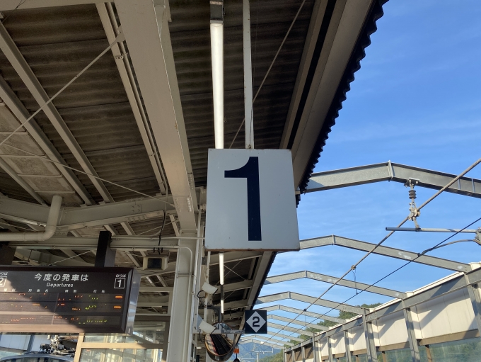 鉄道乗車記録の写真:駅舎・駅施設、様子(4)     「JR西日本ではあまり見ないタイプの番線表示」