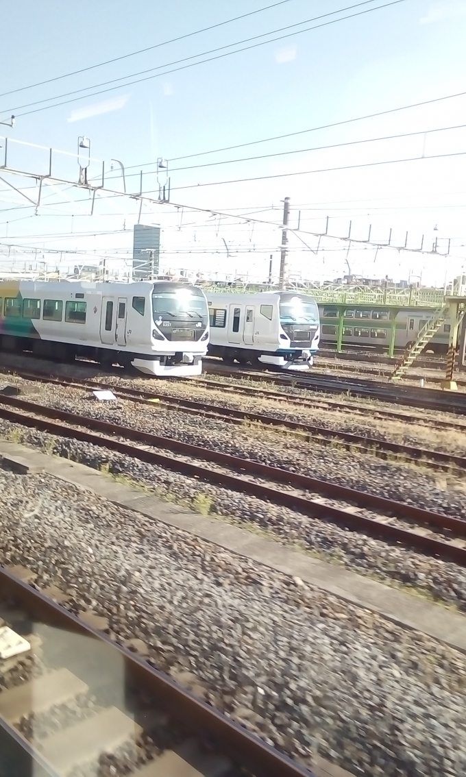 鉄道乗車記録の写真:列車・車両の様子(未乗車)(1)     「E257系2000番台」
