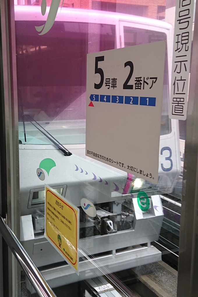 鉄道乗車記録の写真:乗車した列車(外観)(1)        「乗車した列車。
東京都交通局300形03編成。」