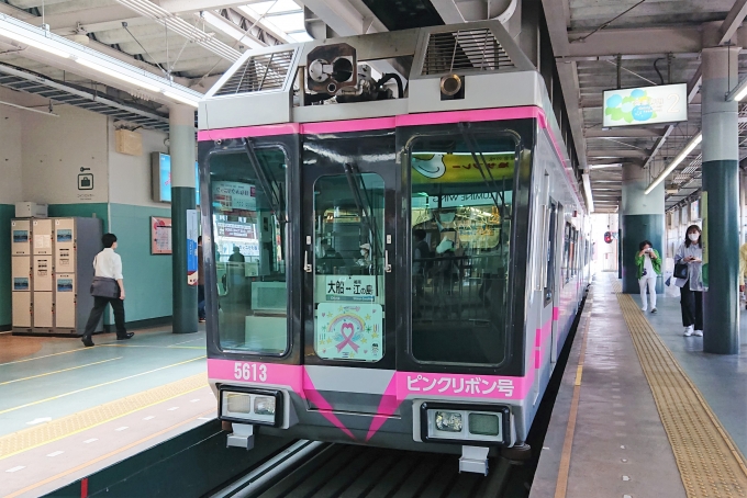 鉄道乗車記録の写真:乗車した列車(外観)(1)        「乗車した列車。
湘南モノレール5000系5613編成。」