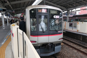 多摩川駅から自由が丘駅の乗車記録(乗りつぶし)写真