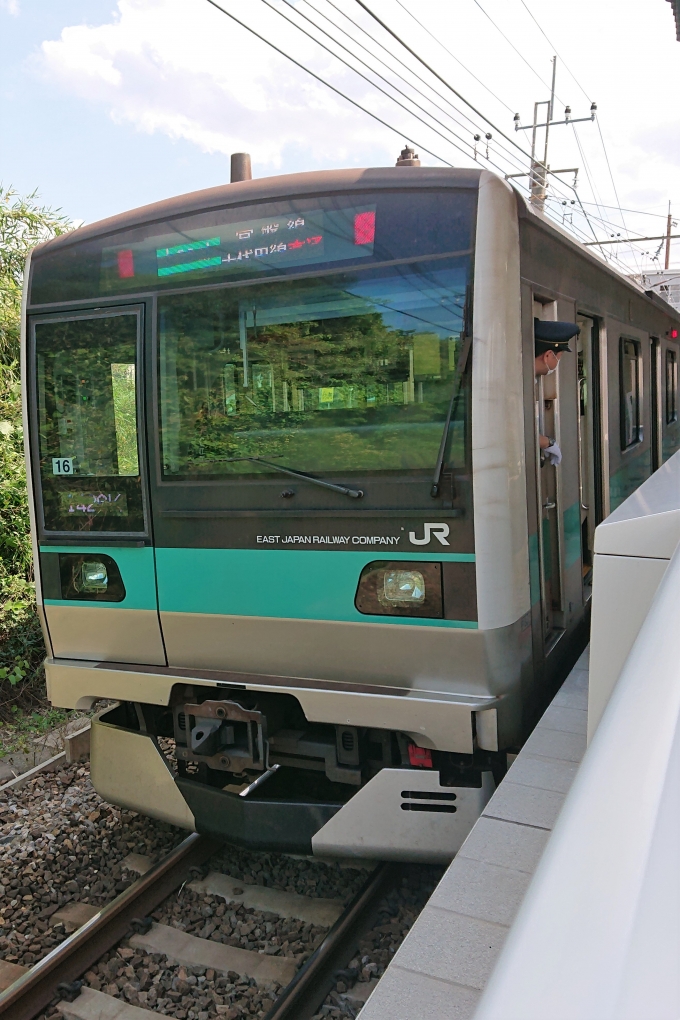 鉄道乗車記録の写真:乗車した列車(外観)(1)          「乗車した列車。
E233系2000番台マト16編成。」