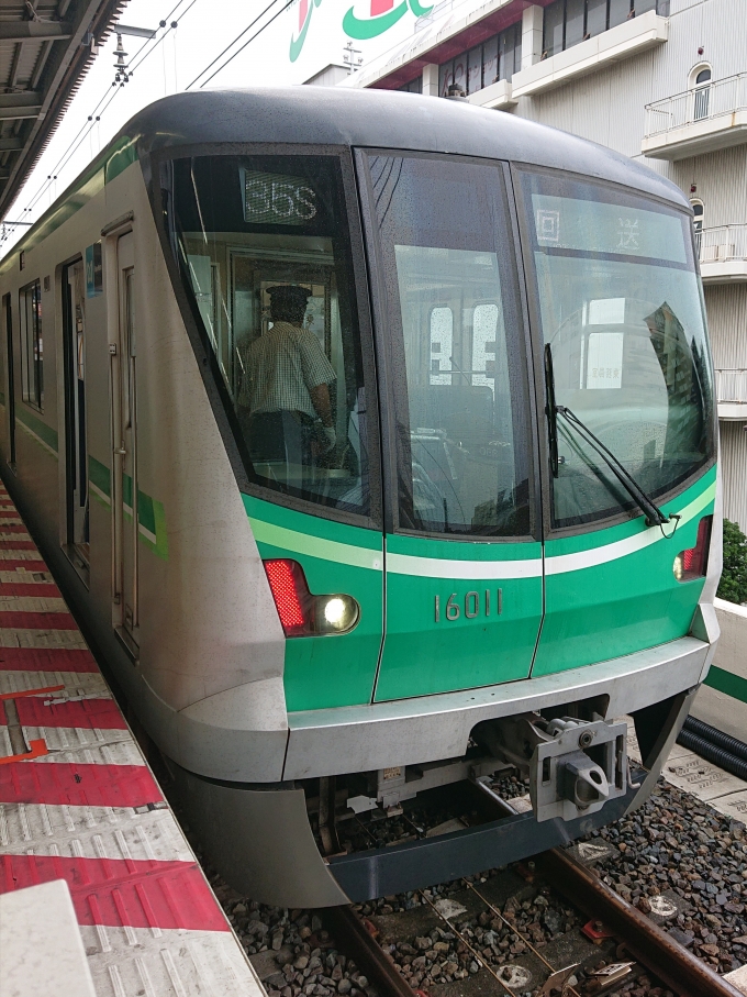 鉄道乗車記録の写真:乗車した列車(外観)(1)          「乗車した列車。
東京メトロ16000系16111編成。
所定では北綾瀬行きでしたがダイヤ乱れの関係で綾瀬行きに変更になりました。」
