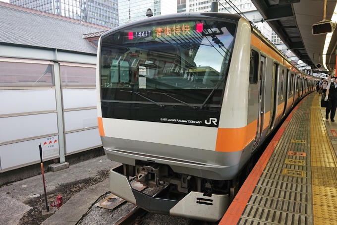 鉄道乗車記録の写真:乗車した列車(外観)(1)        「乗車した列車。
E233系0番台T24編成。」