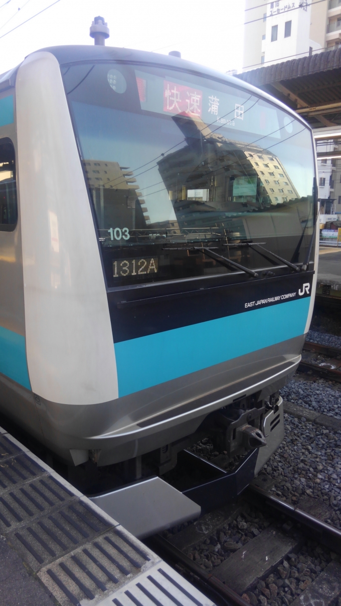 鉄道乗車記録の写真:乗車した列車(外観)(1)        「乗車した列車。
E233系1000番台サイ103編成。」