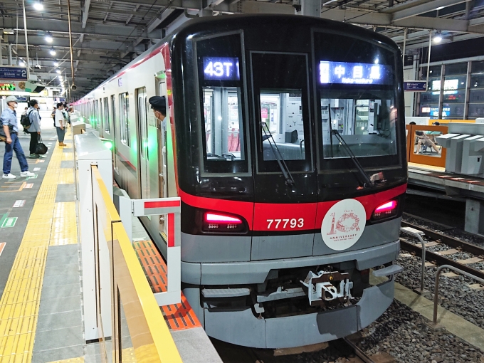 鉄道乗車記録の写真:乗車した列車(外観)(1)          「乗車した列車。
東武70090系71793編成。」