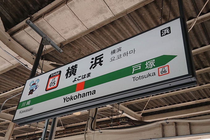 鉄道乗車記録の写真:駅名看板(10)        「これで武蔵野線を完乗しました。」