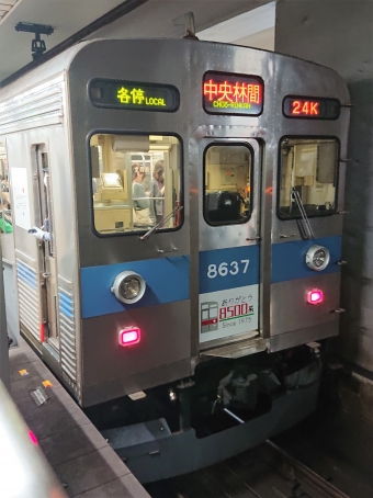 南栗橋駅から九段下駅の乗車記録(乗りつぶし)写真