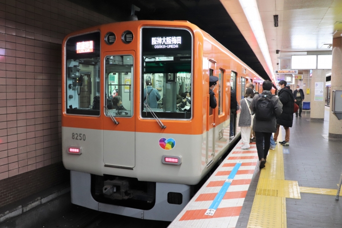 鉄道乗車記録の写真:乗車した列車(外観)(1)        「乗車した列車。
阪神8000系8249編成。」
