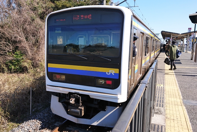鉄道乗車記録の写真:乗車した列車(外観)(1)        「乗車した列車。
209系2100番台C603編成。」