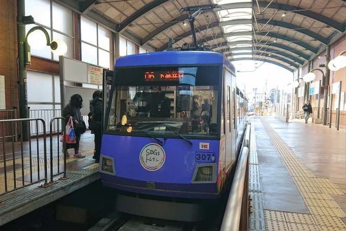 鉄道乗車記録の写真:乗車した列車(外観)(2)        「東急世田谷線を完乗しました。」
