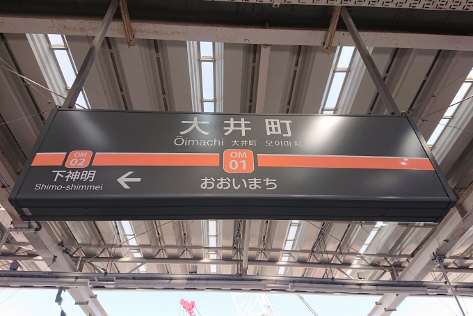 鉄道乗車記録の写真:駅名看板(2)        「東急大井町線を完乗しました。」