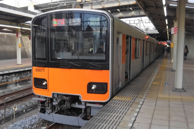 鉄道乗車記録の写真:乗車した列車(外観)(1)          「乗車した列車。
東武50070系51077編成。」