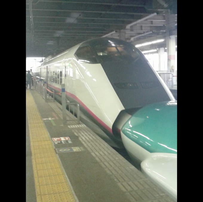 鉄道乗車記録の写真:乗車した列車(外観)(1)        「乗車した列車。
E3系0番台R21編成。」
